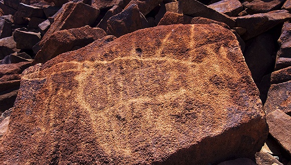 今年大宗商品涨得最猛的竟然是它