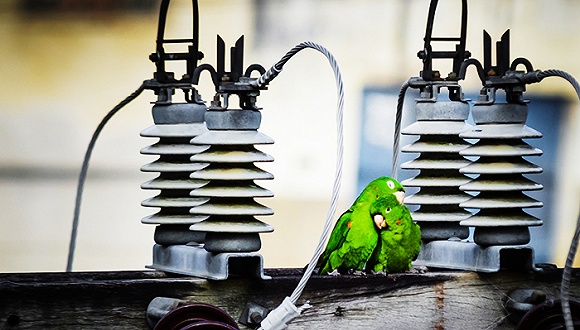 差别电价：重塑中国钢铁业成本曲线